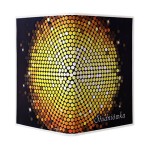 OD210 - Obwoluta DVD