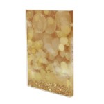 OD231 - Obwoluta DVD