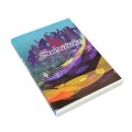 PD221 - Obwoluta DVD