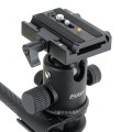 KRYPTON PRO M