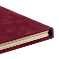 IDN2B - Etui na dwie płyty