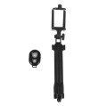 Monopod SEGP941