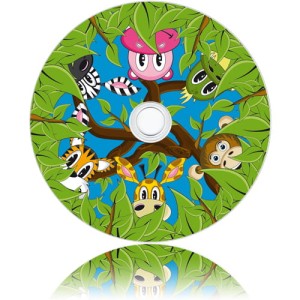 DVD-R237 - Uniwersalna