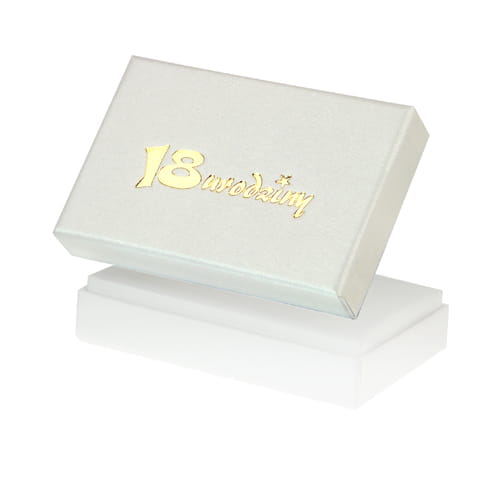 IPG/BU - ETUI NA PENDRIVE USB