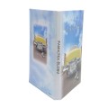 IP184W2 - Etui na dwie płyty